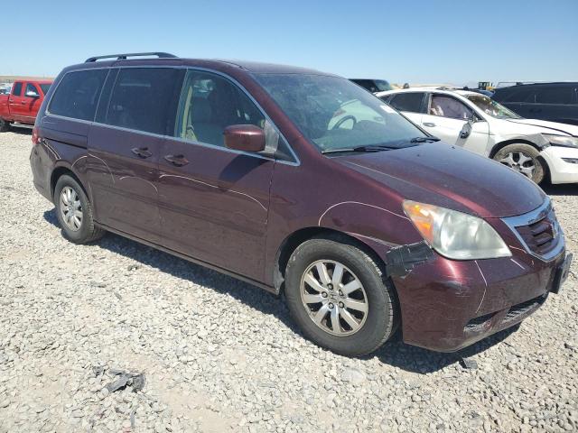 2008 Honda Odyssey Exl VIN: 5FNRL38688B089080 Lot: 61504114