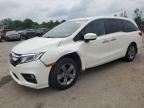 HONDA ODYSSEY EX photo