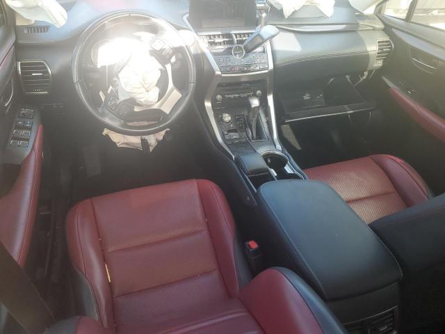 2020 LEXUS NX 300 - JTJDARBZ0L5012586