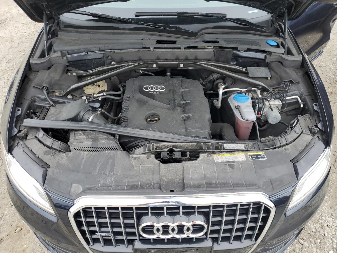 WA1LFAFP9DA006248 2013 Audi Q5 Premium Plus