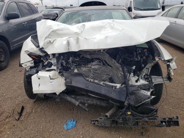 2017 NISSAN MAXIMA 3.5 - 1N4AA6APXHC424348