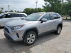 TOYOTA RAV4 XLE photo