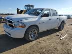 DODGE RAM 1500 1D3HB13T49S786385 снимка