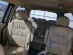 HONDA ODYSSEY EX photo