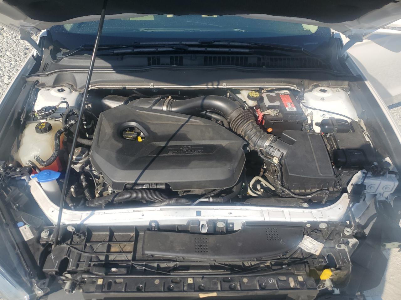 3FA6P0HR8DR317769 2013 Ford Fusion Se