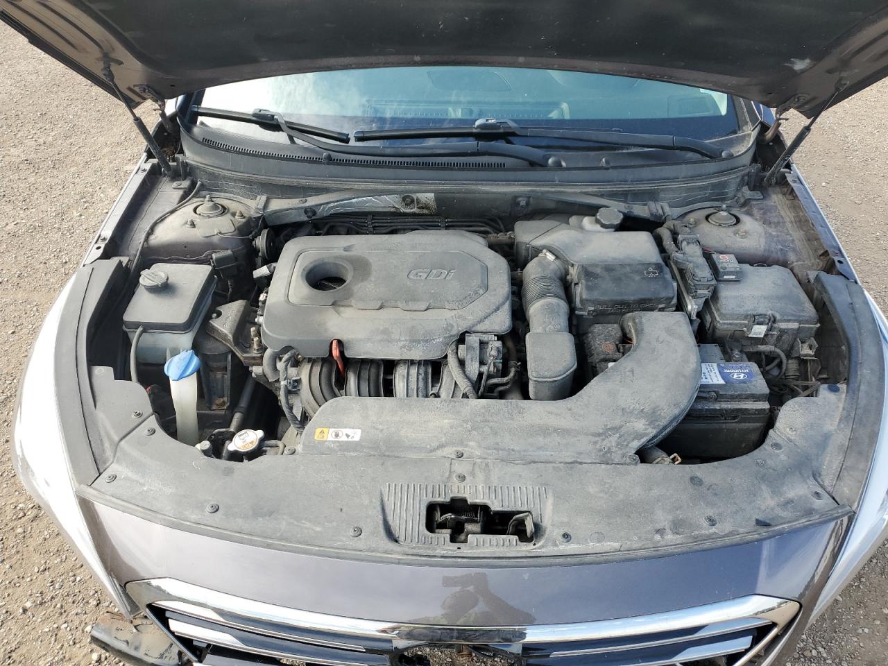 5NPE34AF7GH342081 2016 Hyundai Sonata Sport