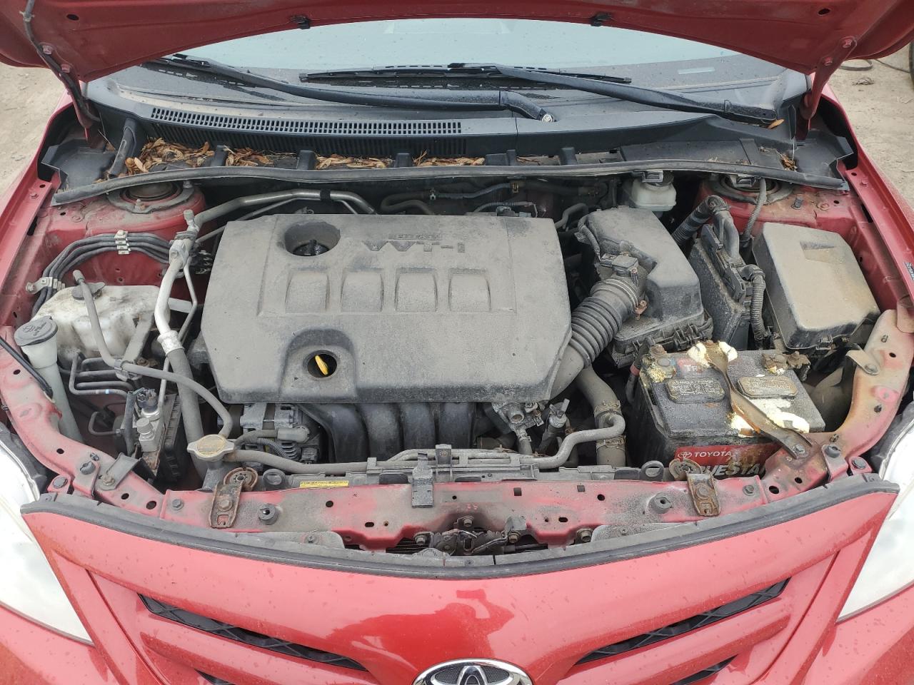 JTDBU4EE8BJ102443 2011 Toyota Corolla Base