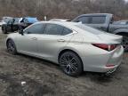 LEXUS ES 350 BAS photo