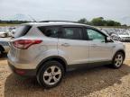 Lot #3024628602 2014 FORD ESCAPE SE