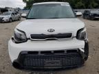 KIA SOUL + photo