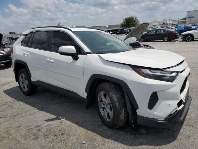 2024 TOYOTA RAV4 XLE - JTMRWRFV7RD240245