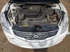 NISSAN ALTIMA BAS photo