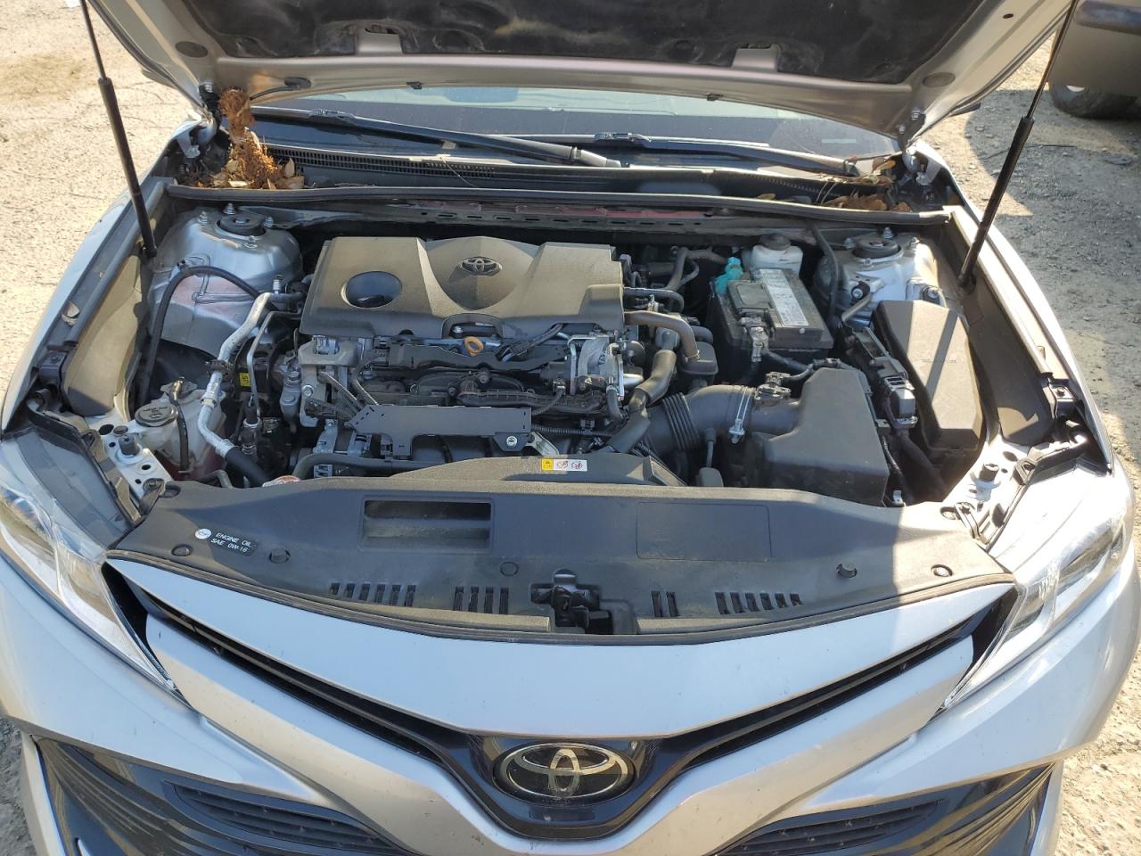 4T1B11HK5KU731872 2019 Toyota Camry L