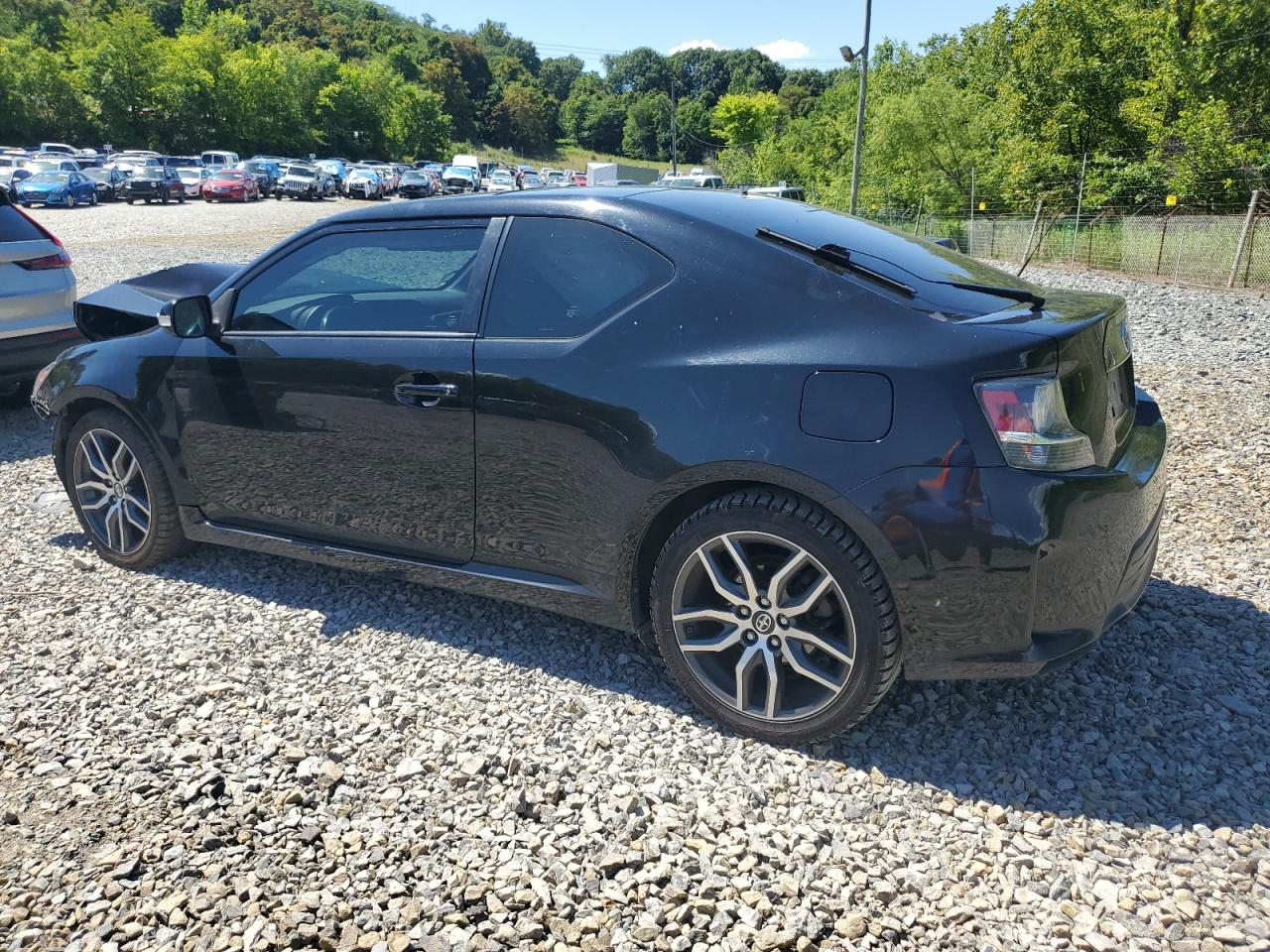 Lot #2989267830 2016 TOYOTA SCION TC