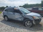 Lot #3024457522 2010 HONDA CR-V EX