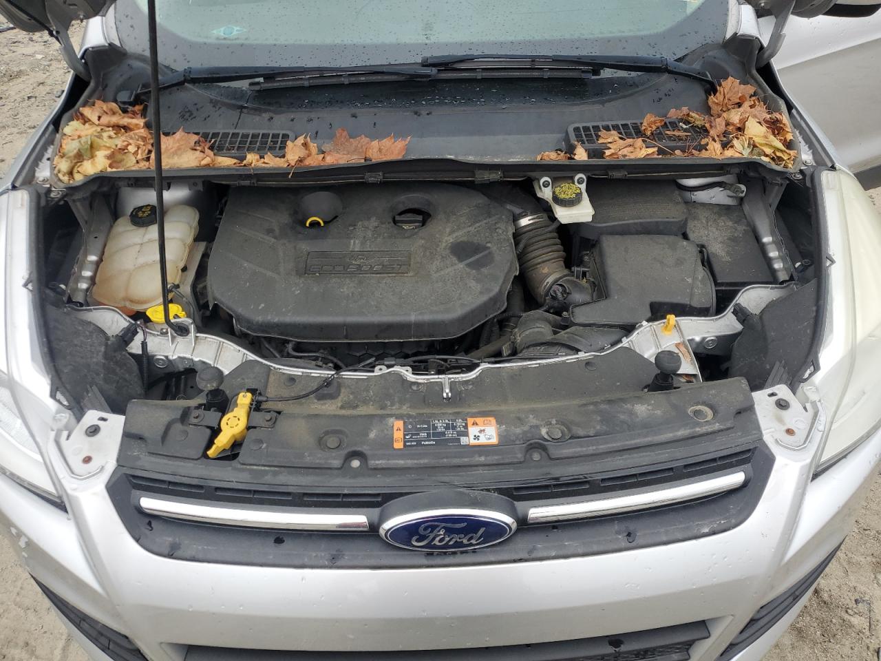 2014 Ford Escape Se vin: 1FMCU0G99EUC14955