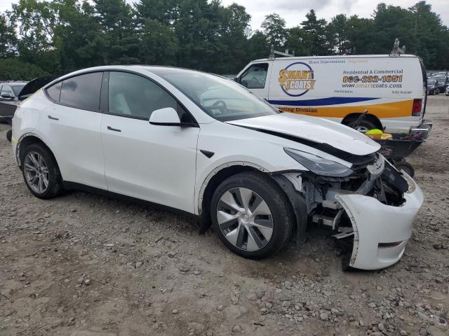 2023 TESLA MODEL Y - 7SAYGDEE0PF674576