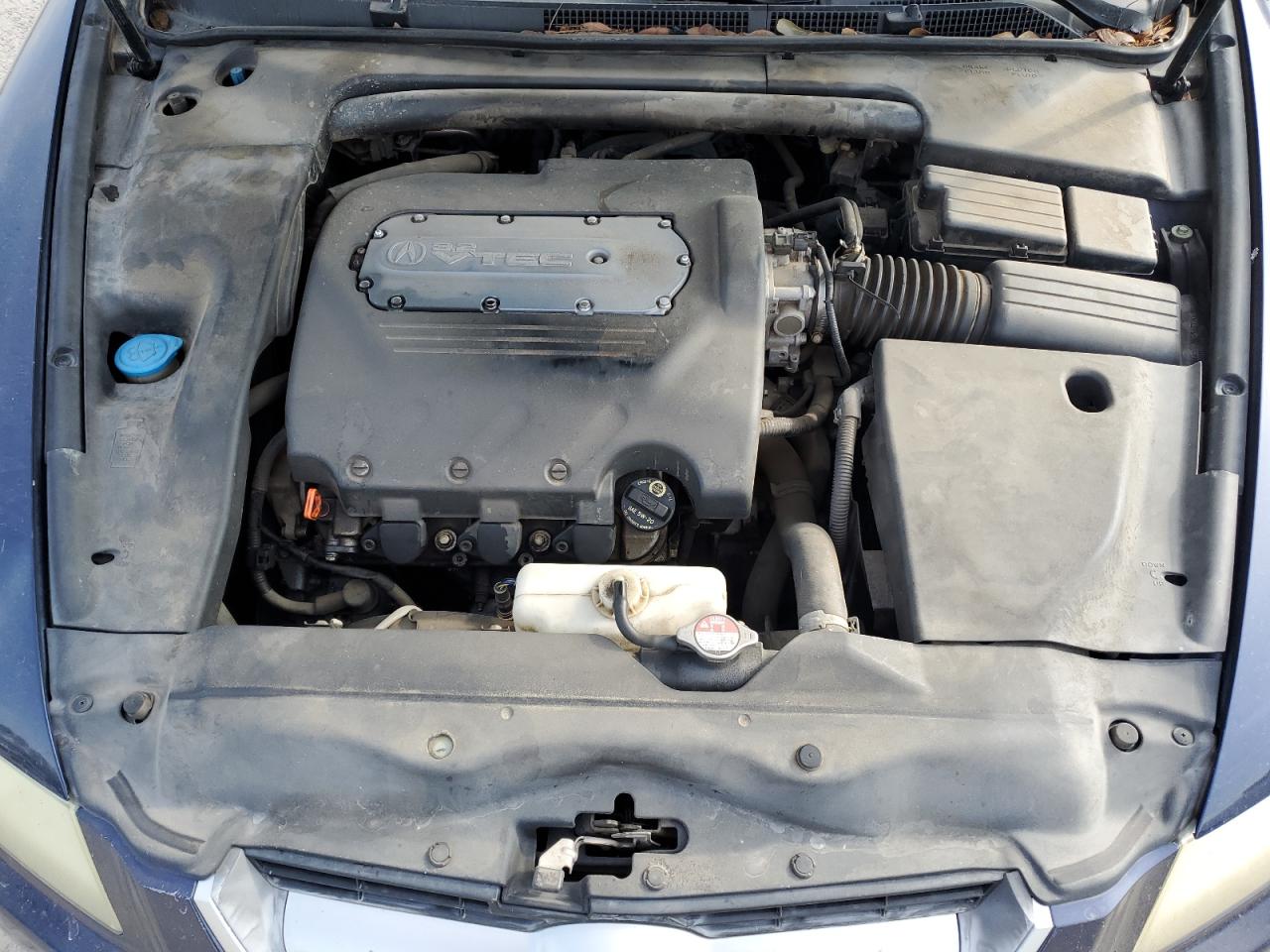 19UUA66206A025849 2006 Acura 3.2Tl