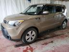 KIA SOUL photo