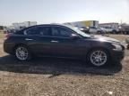 NISSAN MAXIMA S photo