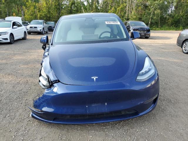 2021 TESLA MODEL Y - 5YJYGDEE7MF302791