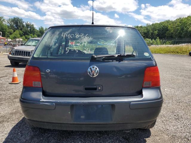 2004 Volkswagen Golf Gl VIN: 9BWBL61J244041924 Lot: 61080984