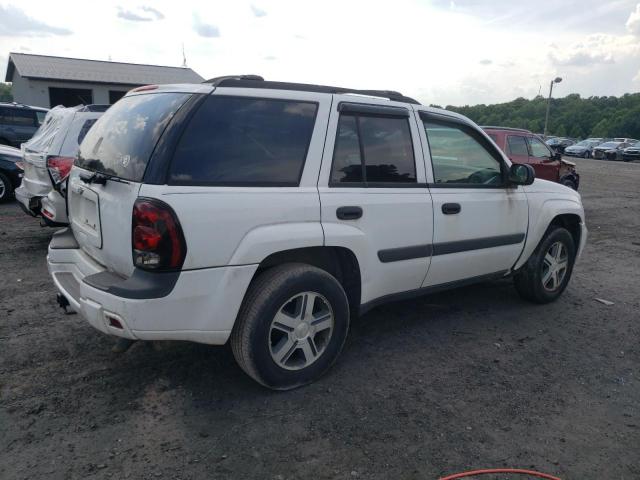 2005 Chevrolet Trailblazer Ls VIN: 1GNDT13S252202059 Lot: 60708824