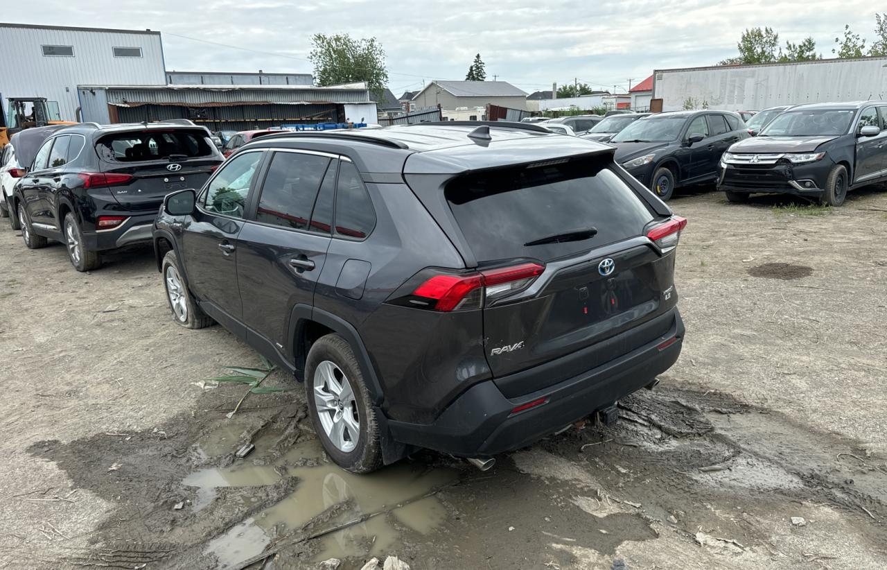 2019 Toyota Rav4 Le vin: 2T3BWRFV2KW001888