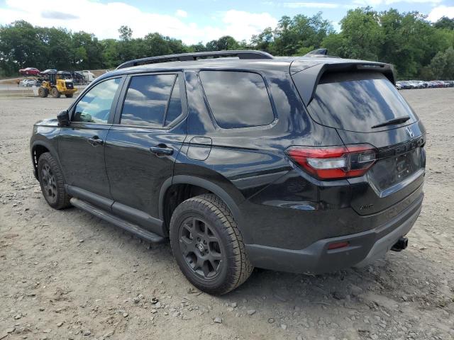 2024 HONDA PILOT TRAI 5FNYG1H69RB004060