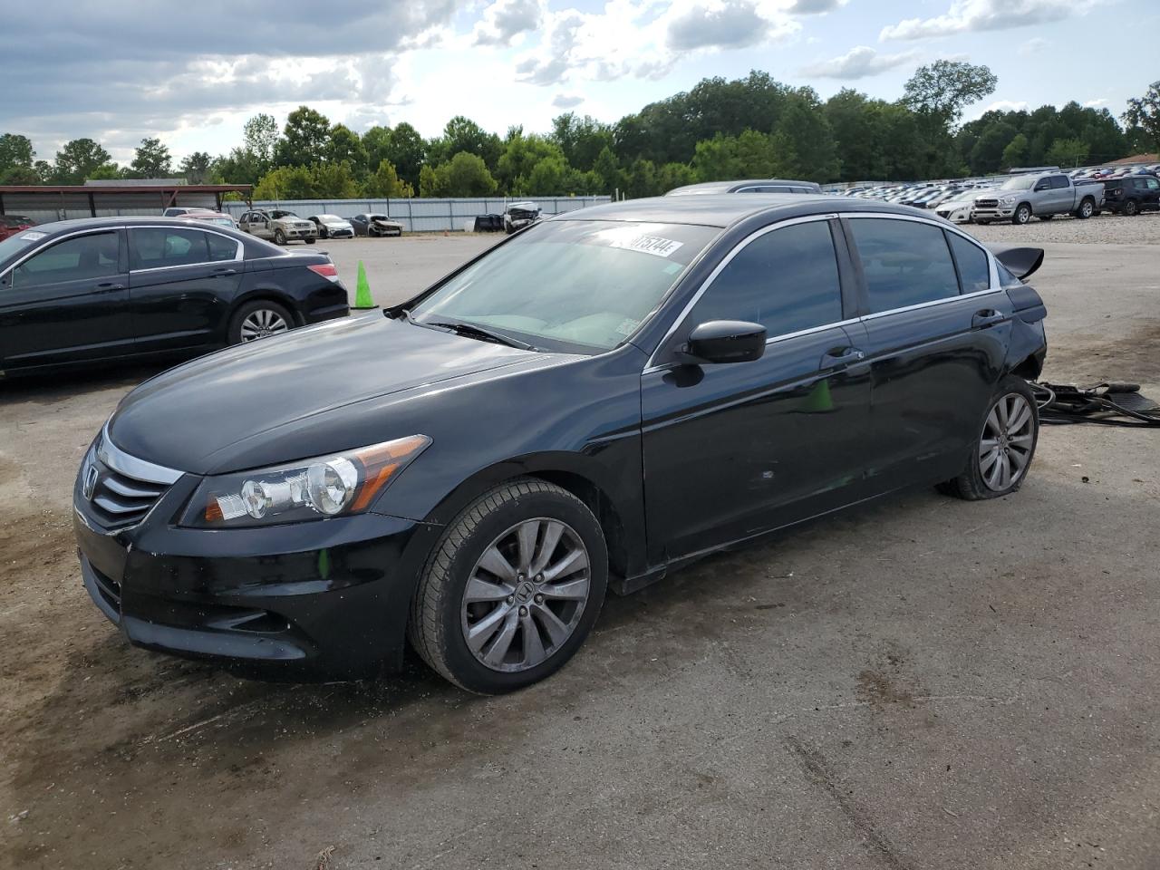 Lot #3038793584 2009 HONDA ACCORD LXP