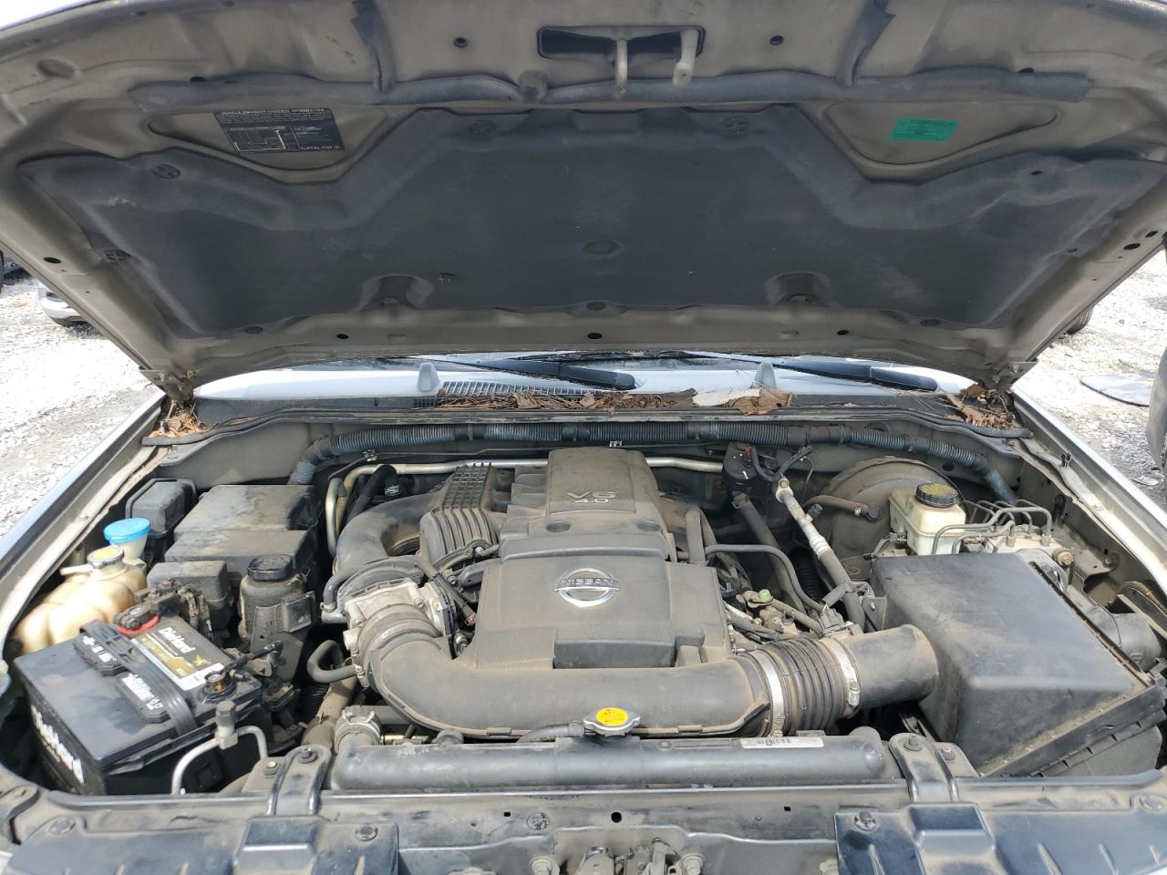 5N1AR18U26C684902 2006 Nissan Pathfinder Le