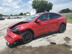 TESLA MODEL Y photo