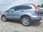 Lot #3024457522 2010 HONDA CR-V EX