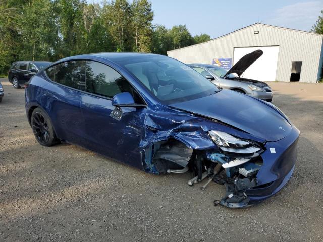 2021 TESLA MODEL Y - 5YJYGDEE7MF302791
