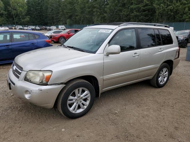 2006 Toyota Highlander Hybrid VIN: JTEEW21A160013254 Lot: 63721454