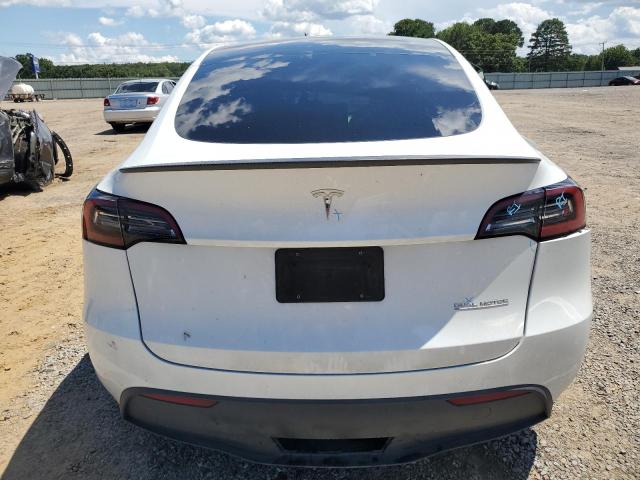 2023 Tesla Model Y VIN: 7SAYGDEF4PF711900 Lot: 60739804