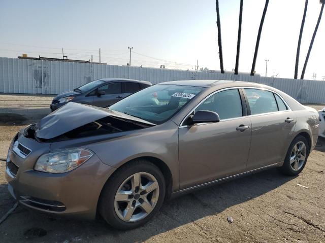 1G1ZC5E01AF305809 2010 Chevrolet Malibu 1Lt