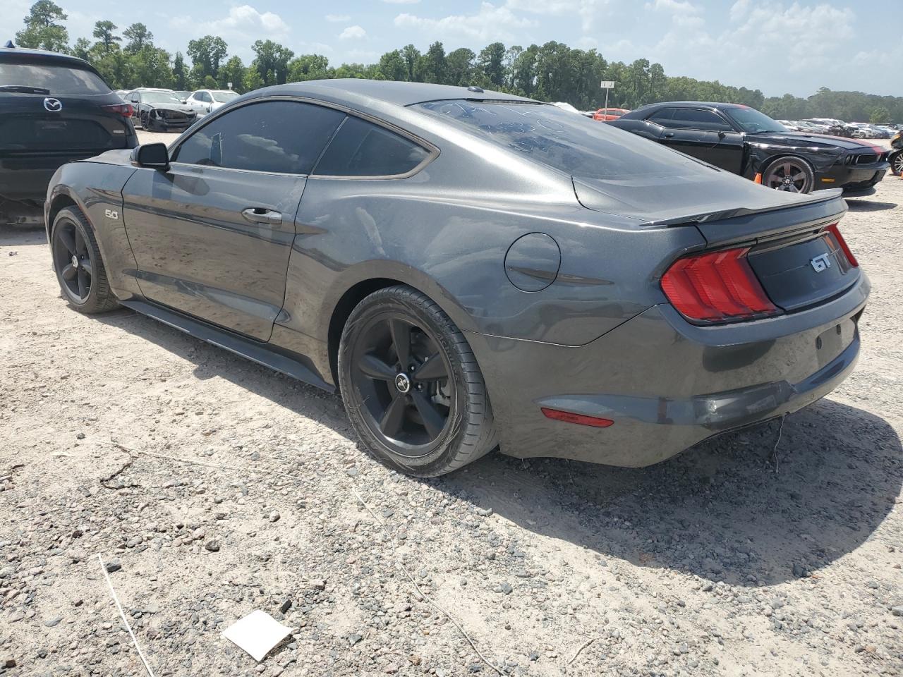 2019 Ford Mustang Gt vin: 1FA6P8CF7K5130244