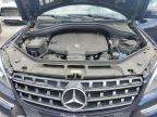 MERCEDES-BENZ ML 350 BLU photo