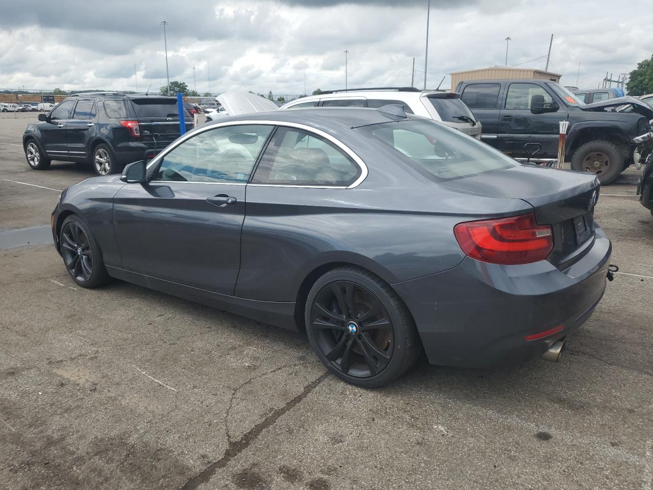 2015 BMW 228 Xi Sulev vin: WBA1G9C51FVX96424