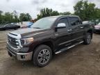 2019 TOYOTA TUNDRA CRE - 5TFAY5F10KX833821