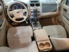 FORD ESCAPE XLT photo