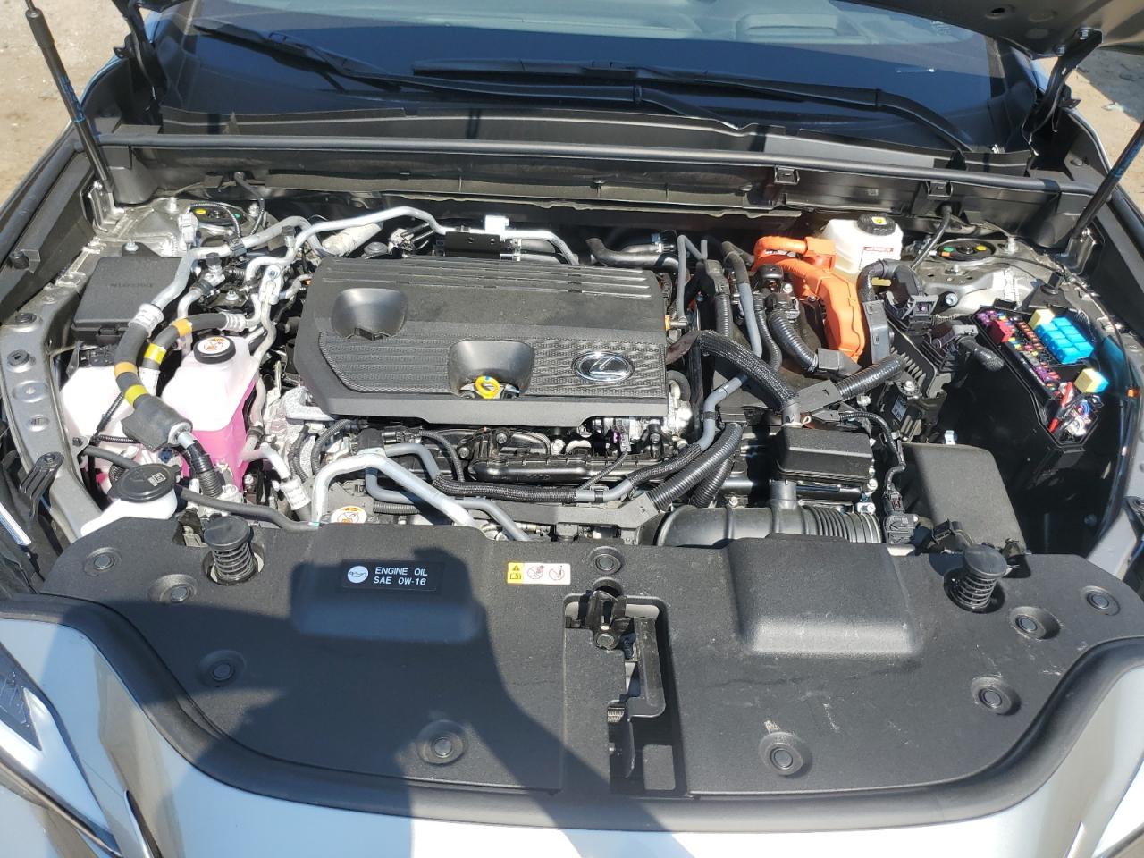 JTJKKCFZ6R2036283 2024 Lexus Nx 450H Luxury