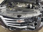 CADILLAC ESCALADE P photo