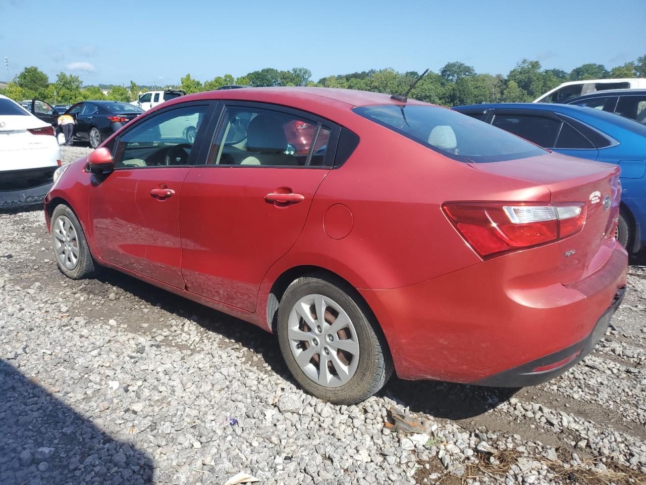 Lot #2976624590 2013 KIA RIO EX