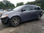 HONDA ODYSSEY EX photo