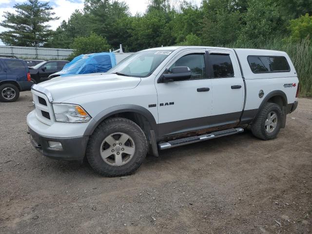 2010 Dodge Ram 1500 VIN: 1D7RV1GT1AS191194 Lot: 60979094