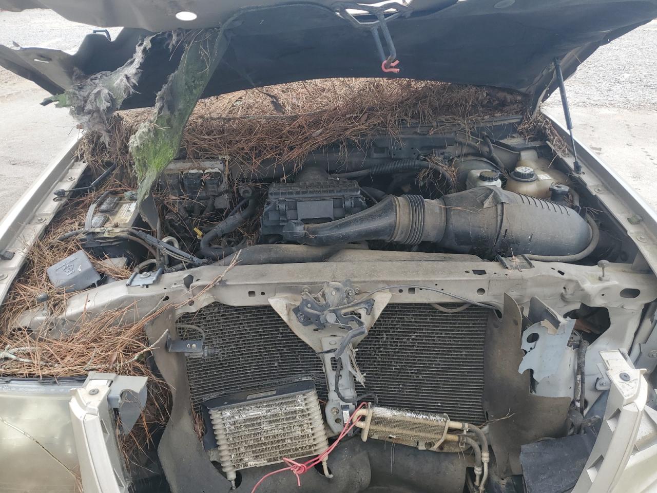 1FMFU195X5LA84820 2005 Ford Expedition Limited