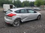 FORD FOCUS SE photo