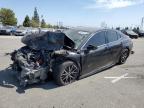 2024 TOYOTA CAMRY SE N - 4T1G11AK3RU263022